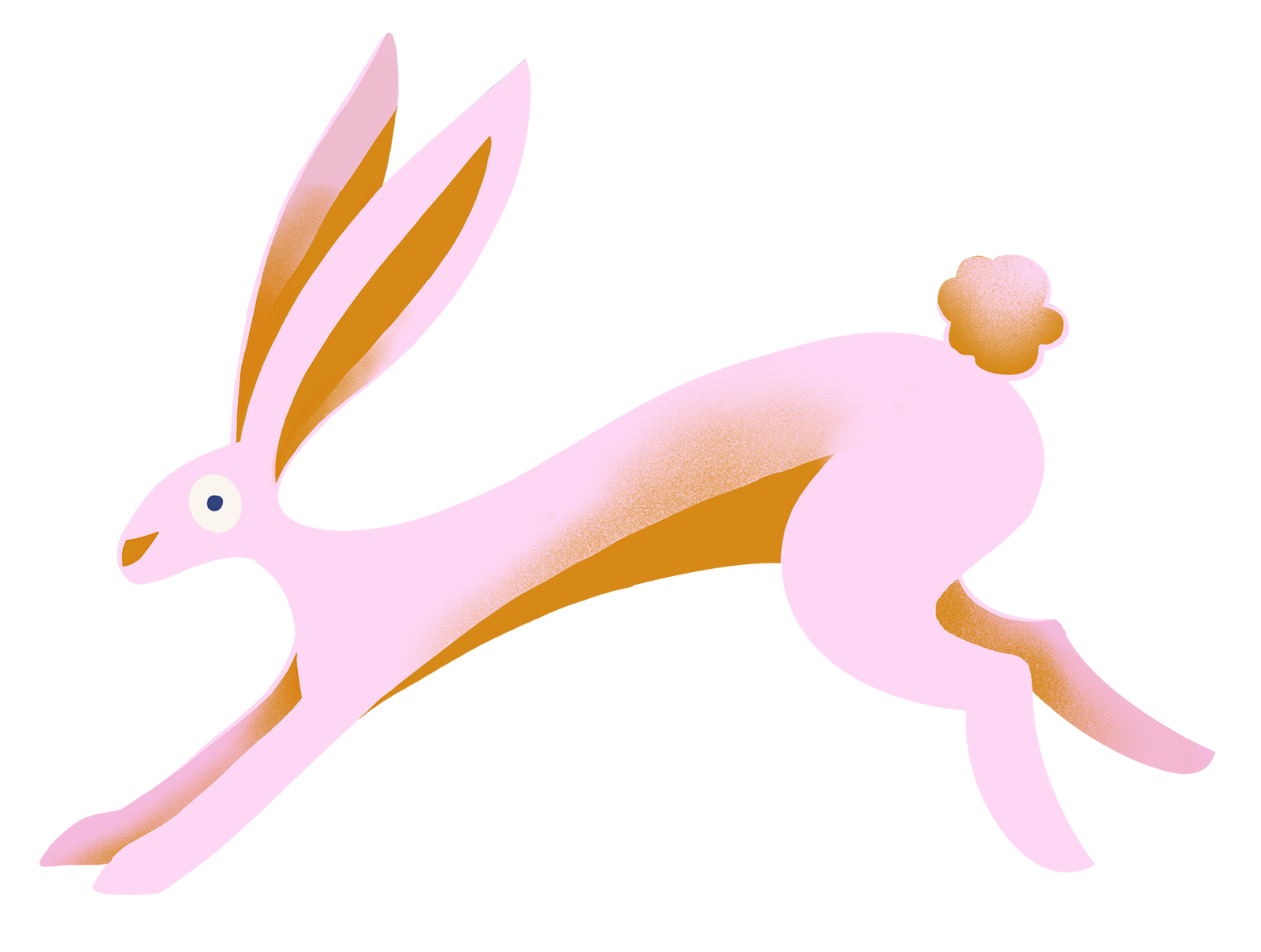 Illustration of a bunny rabbit