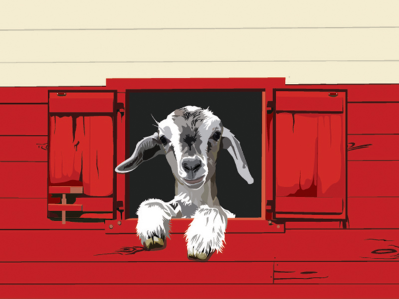 Goat Illustration 