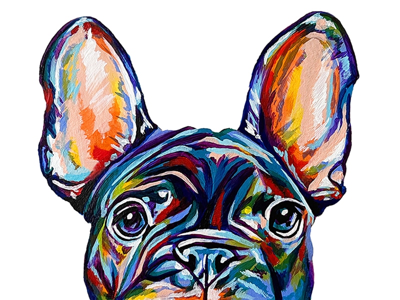 French Bulldog Illustration 