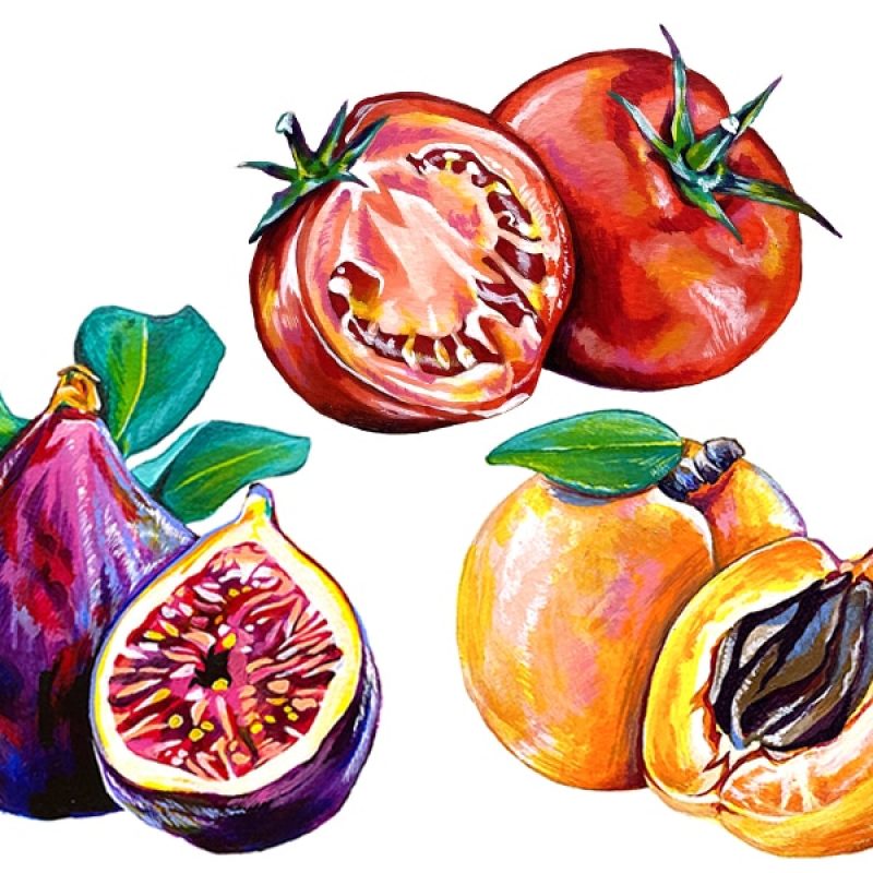 Pump + Rye: Hand-drawn custom illustrations of tomatoes, figs, and onions for the Pump + Rye brand identity.